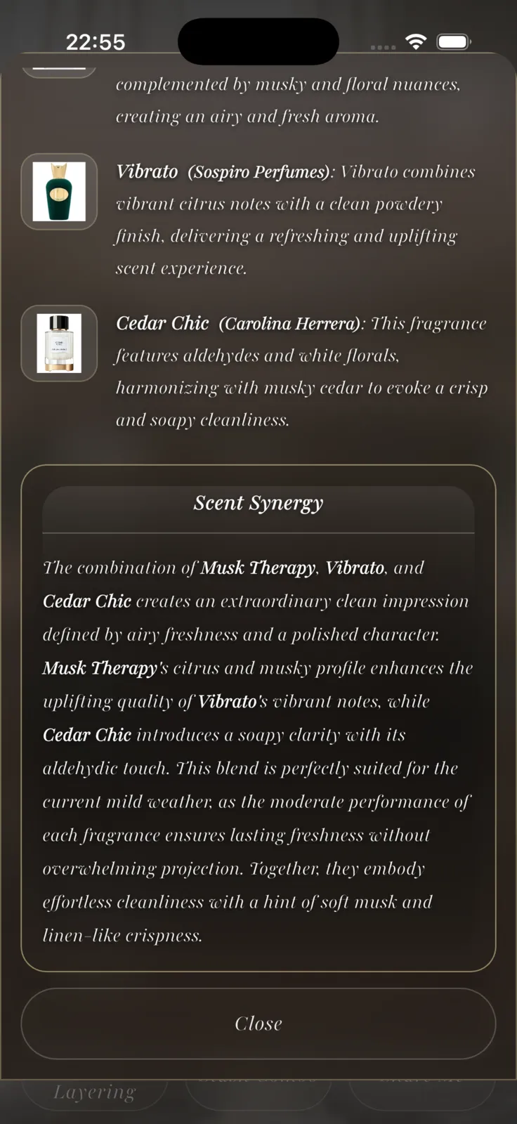VeilAir Vault app preview 16