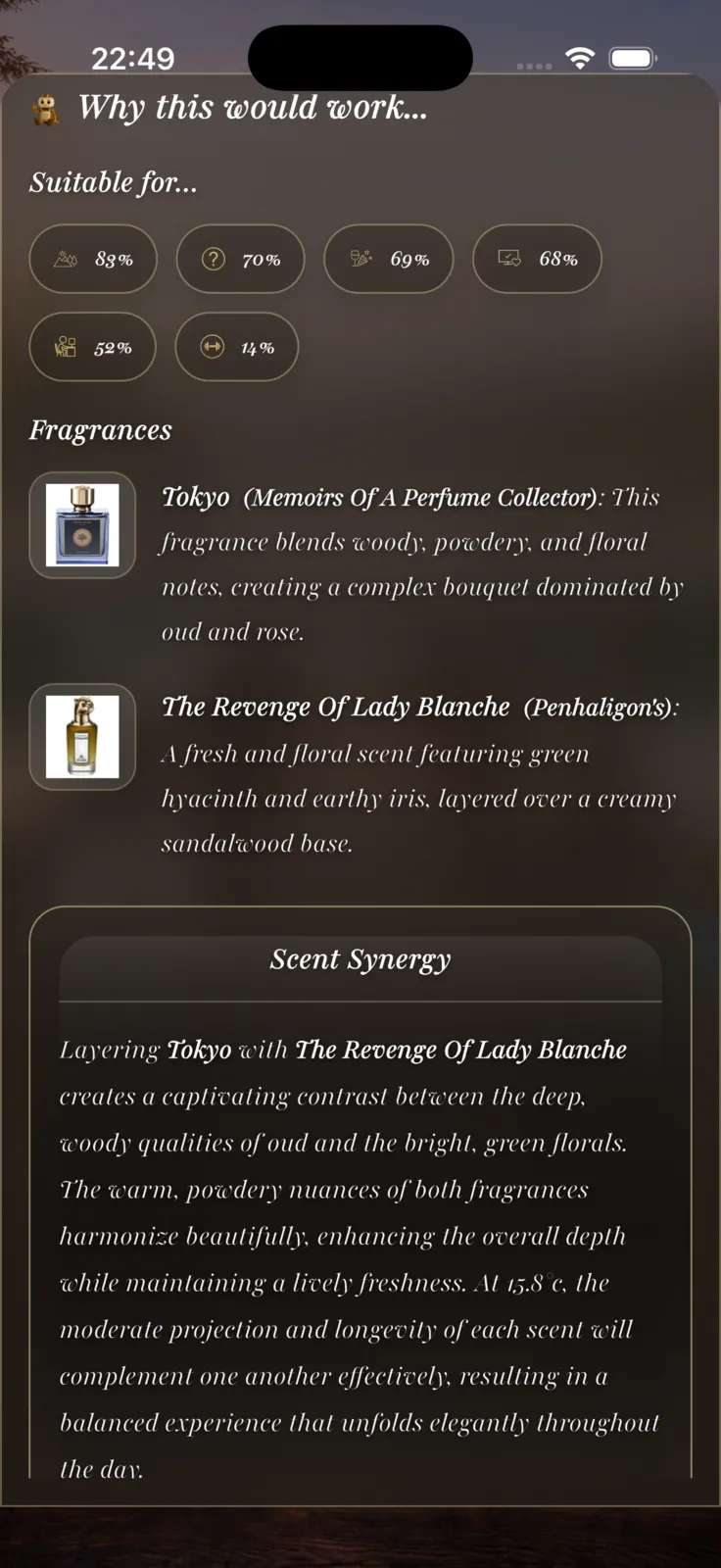 VeilAir Vault app preview 3