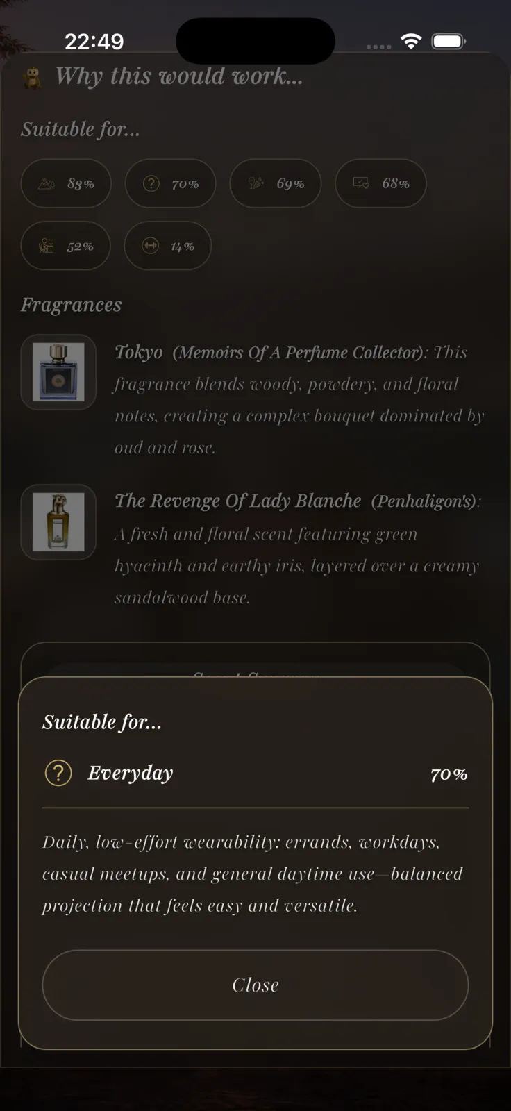 VeilAir Vault app preview 4